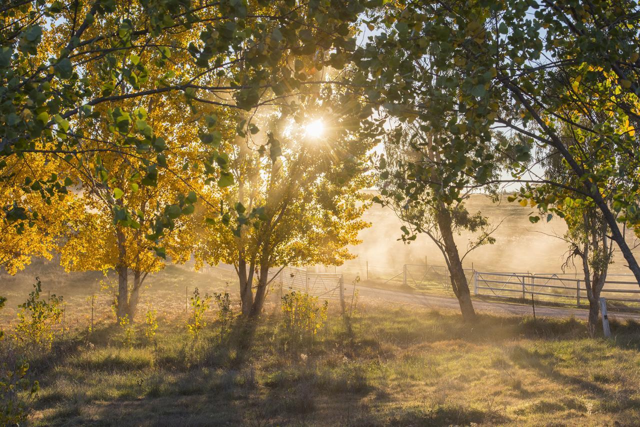 Вілла Peppertree Farm Маджі Екстер'єр фото